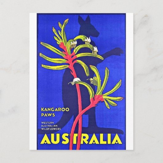Australië, kangoeroe poten, Australische wilde blo Briefkaart (Voorkant)