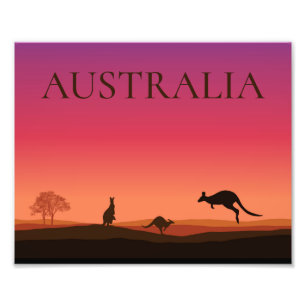 Australië Kangoeroes Foto Poster Print