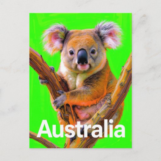 Australië Koala Beer Pop Art Briefkaart (Voorkant)