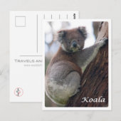 Australië - Koala - Briefkaart (Voorkant / Achterkant)