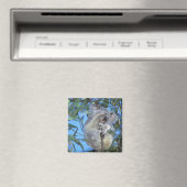 Australië, Koala Phasclarctos Cinereus) Magneet (Insitu (Vaatwasser))