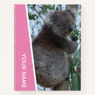 Australië Koala Portret Foto, Roze Meisjes Notitieboek