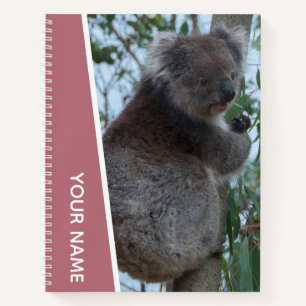 Australië Koala Portretfoto, Roos Goud Notitieboek