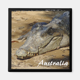 Australië, Kroatië, Struik (Magnet) Magneet