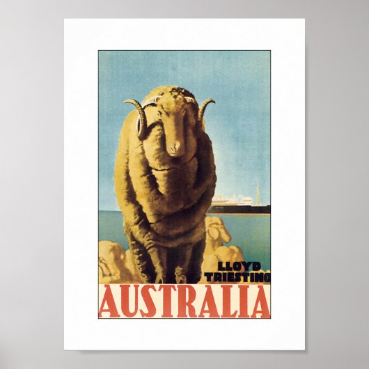 Australië - Lloyd Triestino (wit) Poster (Voorkant)