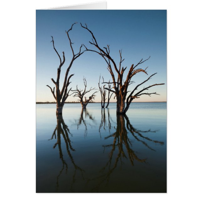 Australië, Murray River Valley, Barmera, meer (Voorkant)