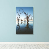 Australië, Murray River Valley, Barmera, meer Canvas Afdruk (Insitu (Houten vloer))