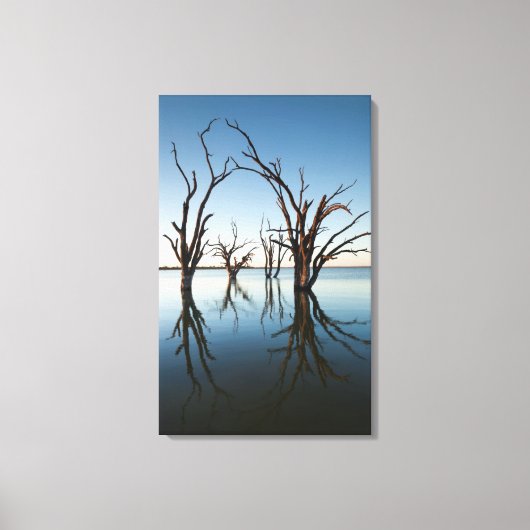 Australië, Murray River Valley, Barmera, meer Canvas Afdruk (Voorkant)