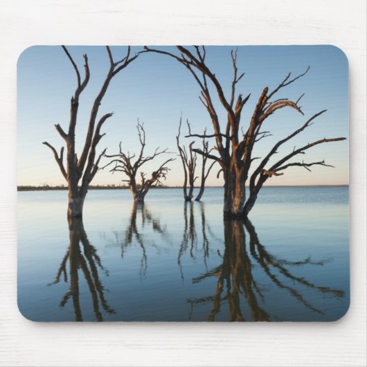 Australië, Murray River Valley, Barmera, meer Muismat (Voorkant)