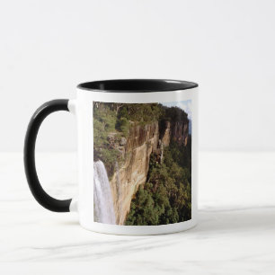Australië, Nieuw-Zuid-Wales, Fitzroy Falls. Mok