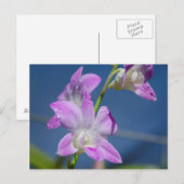 Australië, noordelijk gebied, Darwin Briefkaart (Voorkant / Achterkant)