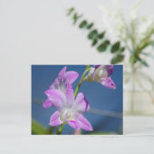 Australië, noordelijk gebied, Darwin Briefkaart (Staand voorkant)