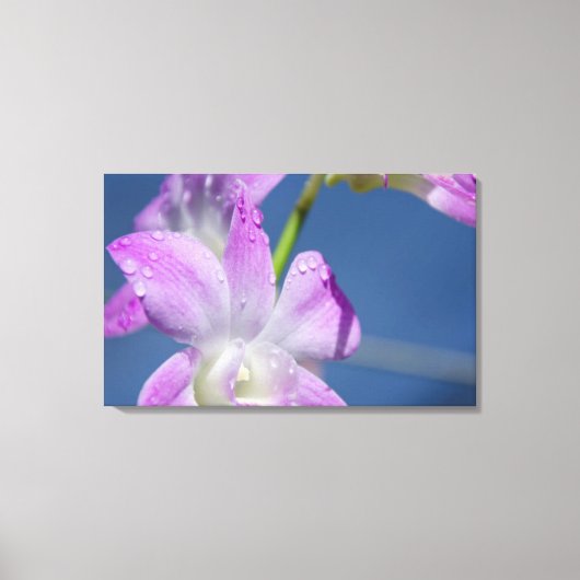 Australië, noordelijk gebied, Darwin Canvas Afdruk (Voorkant)