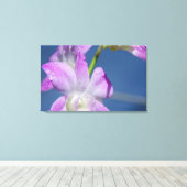 Australië, noordelijk gebied, Darwin Canvas Afdruk (Insitu (Houten vloer))