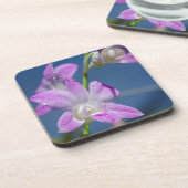 Australië, noordelijk gebied, Darwin Drankjes Onderzetter (Linkerzijde)