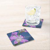 Australië, noordelijk gebied, Darwin Kartonnen Onderzetters (Insitu)