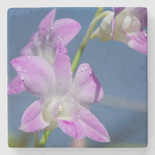 Australië, noordelijk gebied, Darwin Stenen Onderzetter