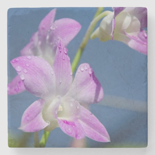 Australië, noordelijk gebied, Darwin Stenen Onderzetter (Voorkant)