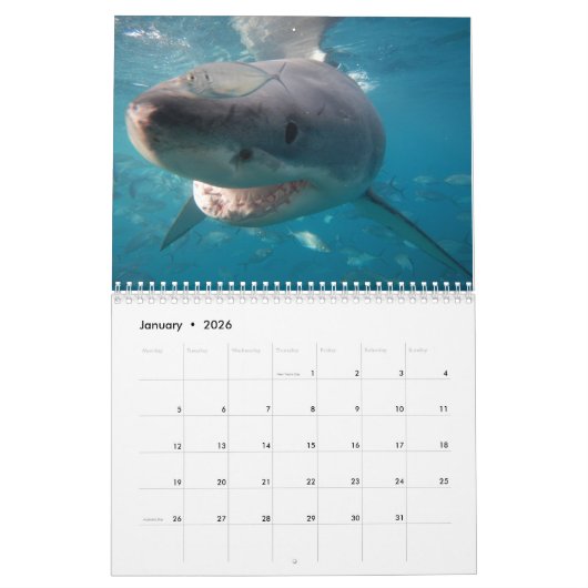 Australië onder het Zee 2025 Kalender (Jan 2026)