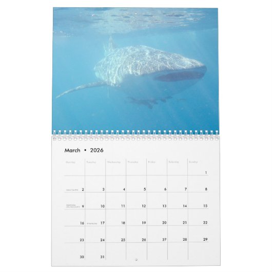 Australië onder het Zee 2025 Kalender (Mar 2026)