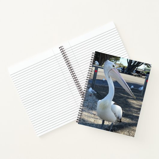 Australië; Pelikaan - Reizen Notitieboek (Binnen)