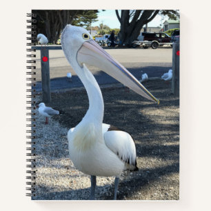 Australië; Pelikaan - Reizen Notitieboek