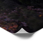 Australië, Perth, stadsskyline van Kings Park Poster (Hoek)