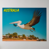 Australië Poster (Voorkant)