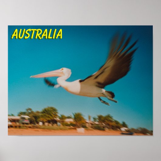 Australië Poster (Voorkant)