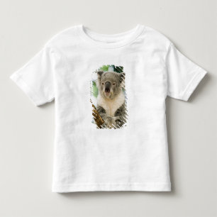 Australië, Queensland, Brisbane, Fig Tree Kinder Shirts