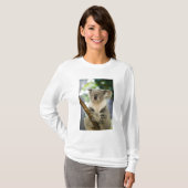 Australië, Queensland, Brisbane, Fig Tree T-shirt (Voorkant volledig)