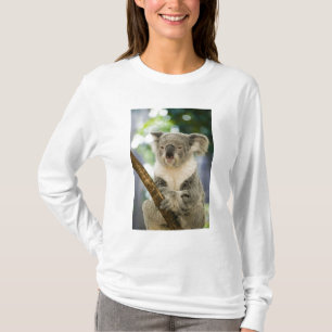Australië, Queensland, Brisbane, Fig Tree T-shirt