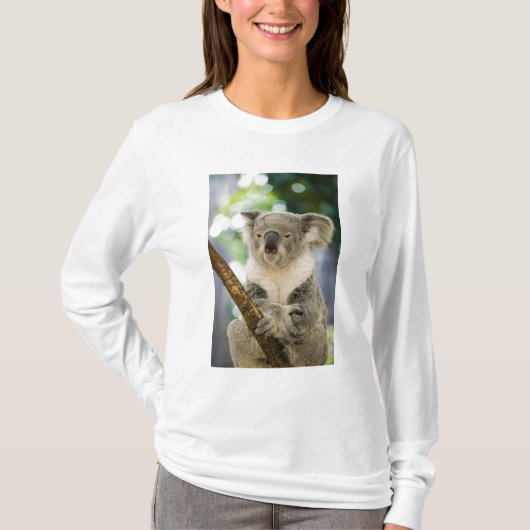 Australië, Queensland, Brisbane, Fig Tree T-shirt (Voorkant)