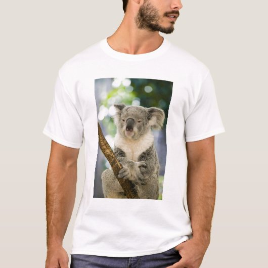 Australië, Queensland, Brisbane, Fig Tree T-shirt (Voorkant)