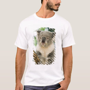 Australië, Queensland, Brisbane, Fig Tree T-shirt