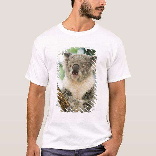 Australië, Queensland, Brisbane, Fig Tree T-shirt (Voorkant)