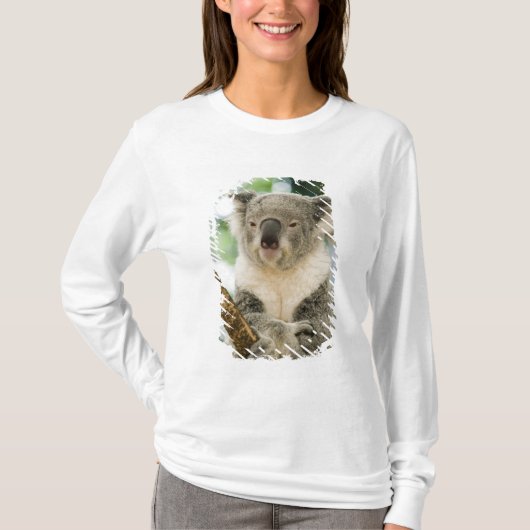 Australië, Queensland, Brisbane, Fig Tree T-shirt (Voorkant)