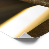 Australië, Queensland, Brisbane. Varkensboom Poster (Hoek)