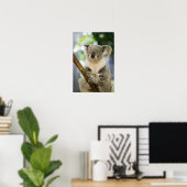 Australië, Queensland, Brisbane, Varkensboom Poster (Thuiskantoor)