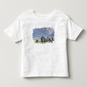 Australië, Queensland, Brisbane, Wolkenkrabbers en Kinder Shirts