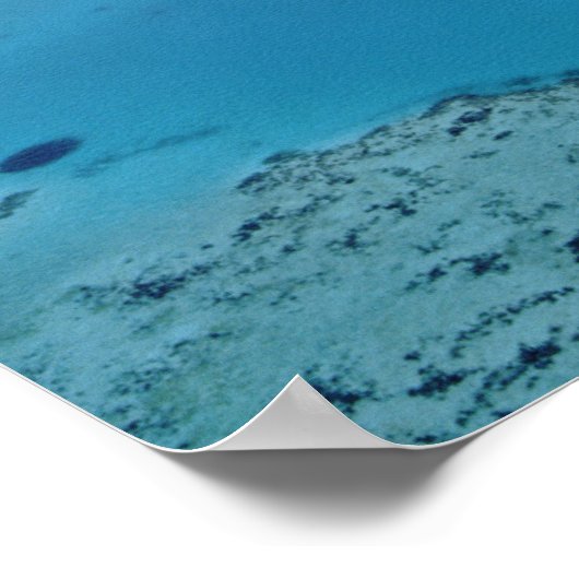 Australië, Queensland. Great Barrier Reef Poster (Hoek)