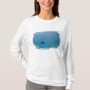 Australië, Queensland. Great Barrier Reef T-shirt
