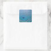 Australië, Queensland. Great Barrier Reef Vierkante Sticker (Tas)