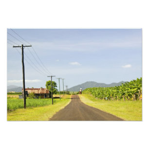Australië, Queensland, Noordkust, Babinda. Foto Afdruk