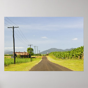 Australië, Queensland, Noordkust, Babinda. Poster