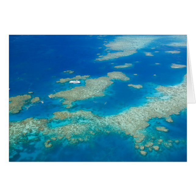 Australië, Queensland, Noordkust, Cairns 3 (Voorkant Horizontaal)