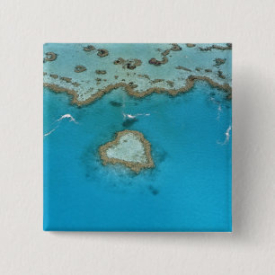 Australië, Queensland, The Whitsunday Islands, Vierkante Button 5,1 Cm