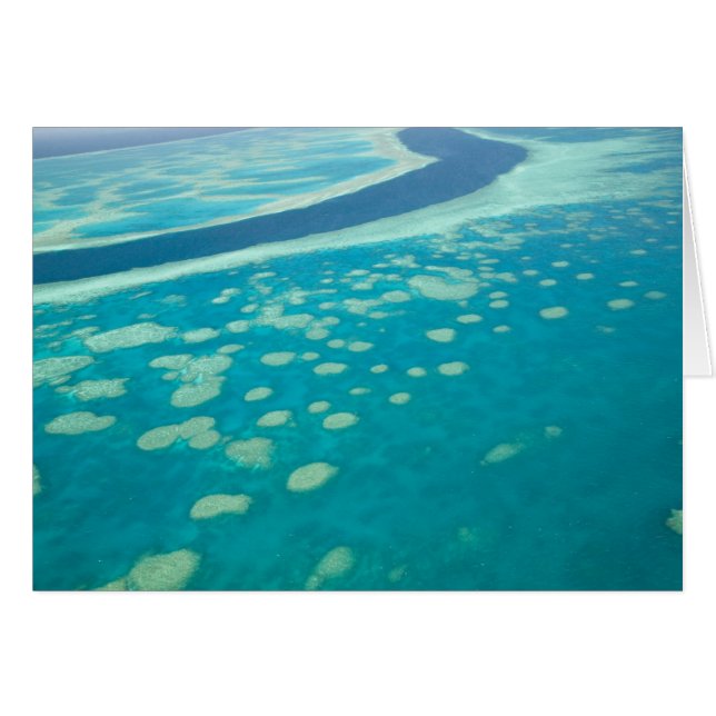Australië, Queensland, Whitsunday-kust, Groot 4 (Voorkant Horizontaal)
