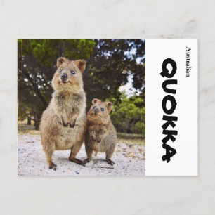 Australië Quokka Briefkaart