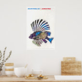 Australië Reisposter Australische Kunst Vissen Poster (Keuken)